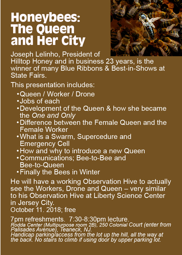 queen bee